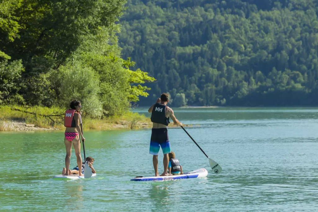 Stand up paddle